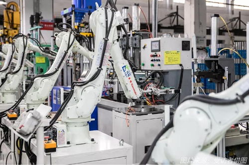 續命還是趨勢？外貿企業“出口轉內銷”的真心話與大冒險