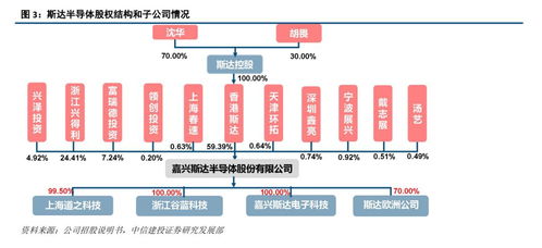 斯達半導 IGBT模塊國內領先廠商，有望受益于國產替代與行業增長